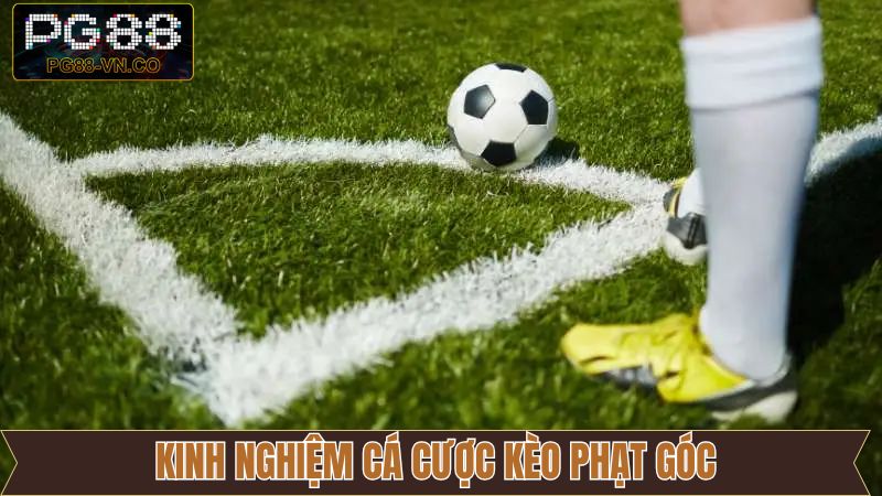 Kèo Phạt Góc – Kiếm Tiền Khủng Khi Cá Độ Bóng Đá Tại PG88 4 Một số chiến lược áp dụng kèo phạt góc thành công