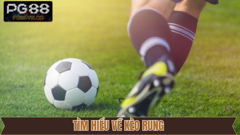 Kèo Rung - Cách Đọc Tỷ Lệ Cược Khi Cá Độ Bóng Đá Tại PG88 2 Tìm hiểu khái quát về kèo rung trong cá độ bóng đá